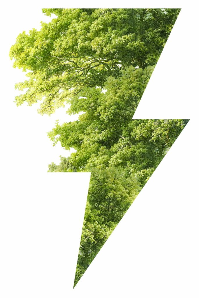 energia elettrica sostenibile ferrazza